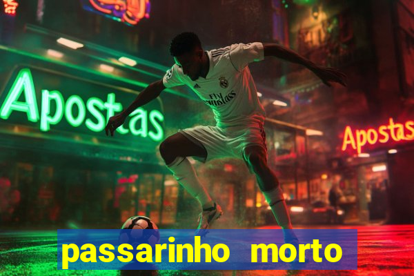 passarinho morto significado espiritual